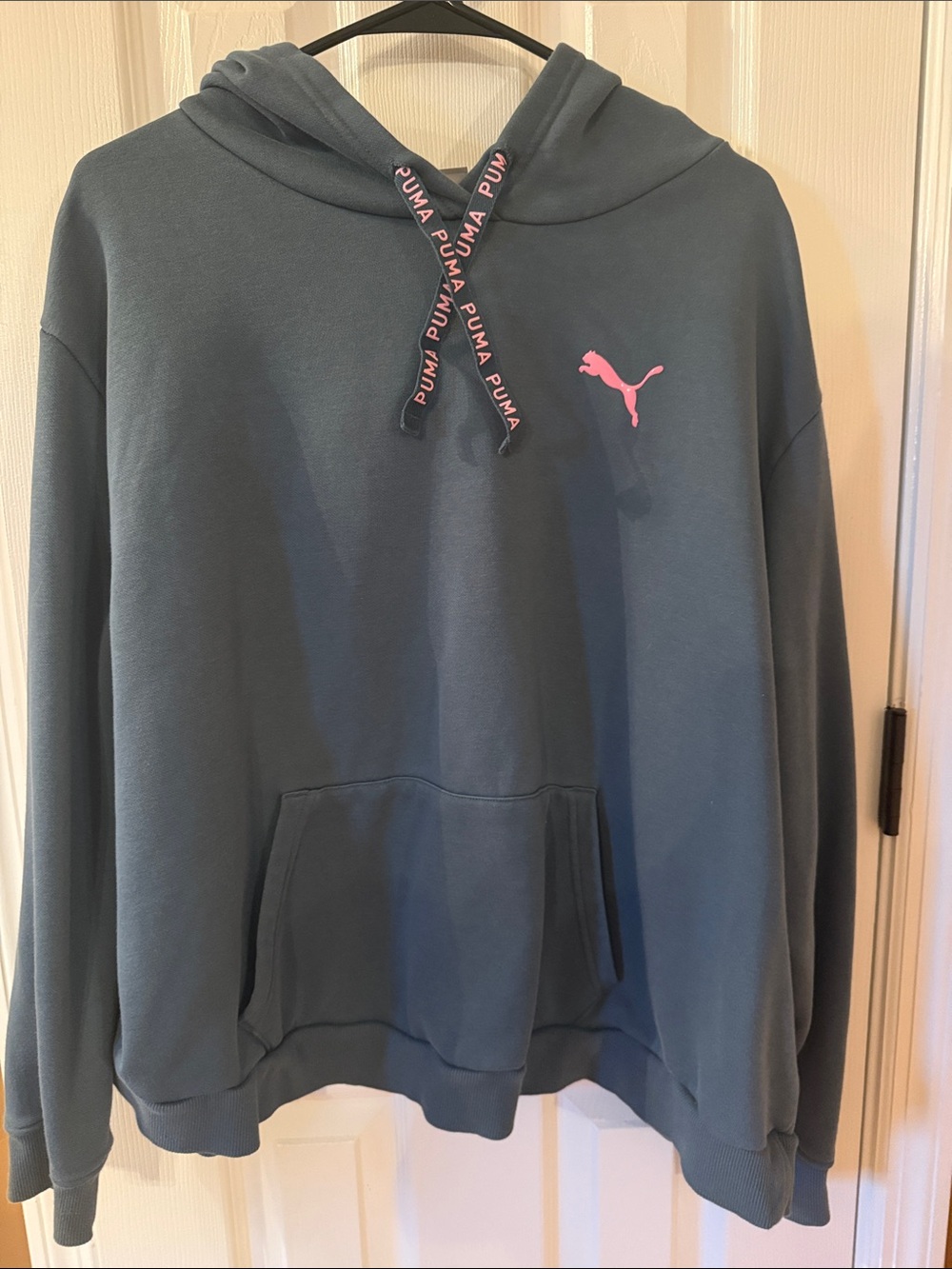 Puma Women's Hoodie in Teal with Pink Logo